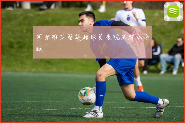 塞尔维亚籍英超球员表现及球队贡献