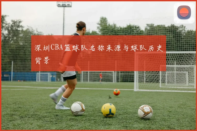 深圳CBA篮球队名称来源与球队历史背景