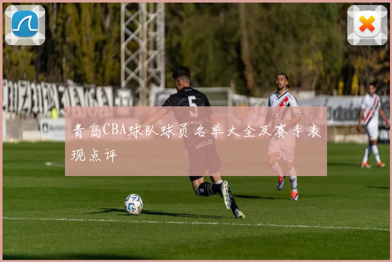 青岛CBA球队球员名单大全及赛季表现点评