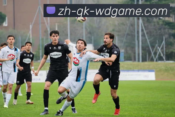 问鼎娱乐APP 封面图